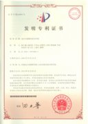 <strong>电压互感器仿真负荷箱</strong>
